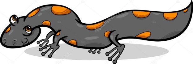 https://st.depositphotos.com/1024768/4278/v/950/depositphotos_42781171-stock-illustration-salamander-animal-cartoon-illustration.jpg