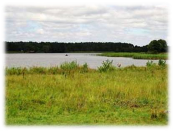 Картинки по запросу озеро з болотяним масивом