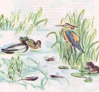 Картинки по запросу болото с камышами рисунок