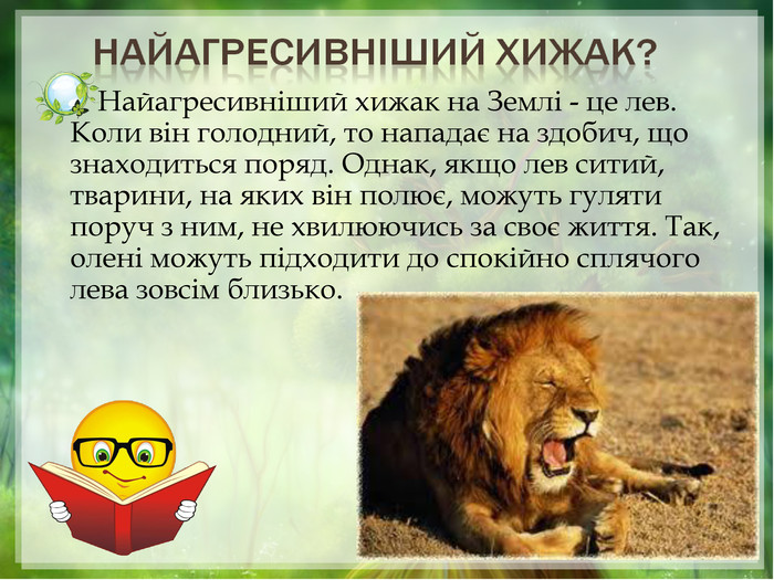        Найагресивніший хижак на Землі - це лев. Коли він голодний, то нападає на здобич, що знаходиться поряд. Однак, якщо лев ситий, тварини, на яких він полює, можуть гуляти поруч з ним, не хвилюючись за своє життя. Так, олені можуть підходити до спокійно сплячого лева зовсім близько.   