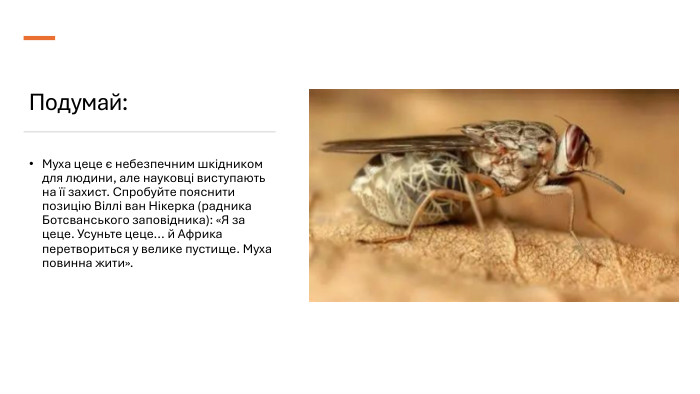 Подумай: Муха цеце є небезпечним шкідником для людини, але науковці виступають на її захист. Спробуйте пояснити позицію Віллі ван Нікерка (радника Ботсванського заповідника): «Я за цеце. Усуньте цеце... й Африка перетвориться у велике пустище. Муха повинна жити».