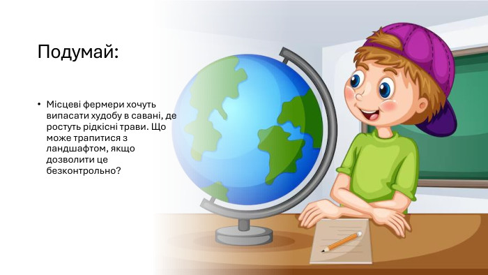 Подумай: Місцеві фермери хочуть випасати худобу в савані, де ростуть рідкісні трави. Що може трапитися з ландшафтом, якщо дозволити це безконтрольно?