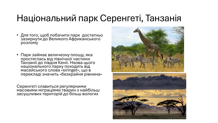 Національний парк Серенгеті, Танзанія. Для того, щоб побачити парк достатньо зазирнути до Великого Африканського розлому. Парк займає величезну площу, яка простяглась від північної частини Танзанії до півдня Кенії. Назва цього національного парку походить від масайського слова «siringet», що в перекладі значить «безкрайня рівнина»Серенгеті славиться регулярними масовими міграціями тварин з найбільш засушливих територій до більш вологих