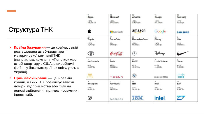 Структура ТНККраїна базування — це країна, у якій розташована штаб-квартира материнської компанії ТНК (наприклад, компанія «Пепсіко» має штаб-квартиру в США, а виробничі філії — у багатьох країнах світу, у т.ч. в Україні). Приймаючі країни — це іноземні країни, у яких ТНК розміщує власні дочірні підприємства або філії на основі здійснення прямих іноземних інвестицій.
