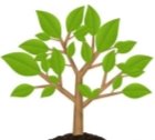 Описание: http://www.centroart.ru/uploads/posts/2012-07/1342812651_green-tree.jpg