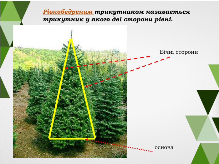 Рівнобедреним трикутником називається трикутник у якого дві сторони рівні. Бічні сторони основа 