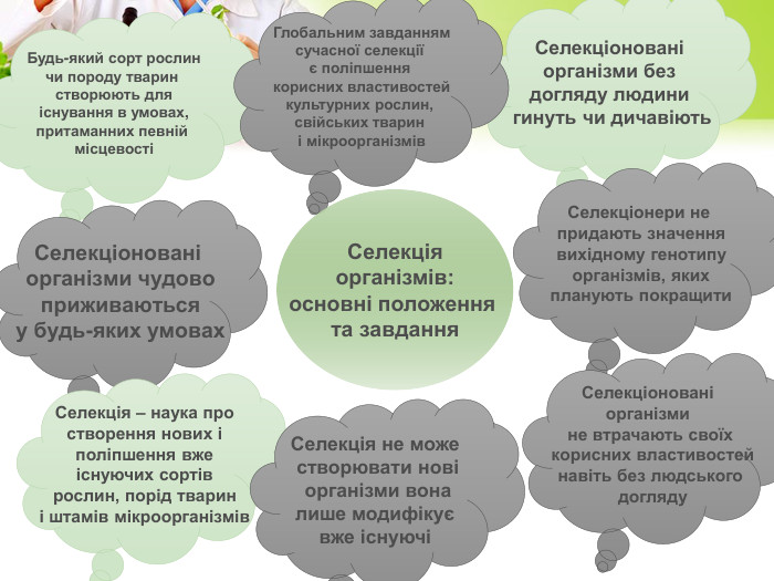 Селекціонованіорганізми бездогляду людини гинуть чи дичавіють. Селекціонери не придають значеннявихідному генотипуорганізмів, якихпланують покращити. Селекціоновані організми не втрачають своїх корисних властивостейнавіть без людського догляду. Будь-який сорт рослинчи породу тварин створюють дляіснування в умовах,притаманних певній місцевостіСелекціоновані організми чудовоприживаютьсяу будь-яких умовах. Селекція – наука простворення нових іполіпшення вжеіснуючих сортіврослин, порід тварині штамів мікроорганізмів. Селекція не може створювати новіорганізми воналише модифікує вже існуючі Глобальним завданнямсучасної селекції є поліпшення корисних властивостейкультурних рослин, свійських тварин і мікроорганізмів. Селекціяорганізмів:основні положення та завдання