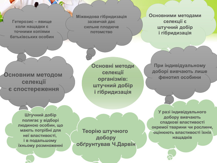 Основними методамиселекції єштучний добірі гібридизація. При індивідуальномудоборі вивчають лишефенотип особини. У разі індивідуальногодобору вивчаютьспадкові властивостіокремої тварини чи рослини,оцінюють властивості їхніхнащадків. Гетерозис – явищеколи нащадки єточними копіямибатьківських особин. Основним методом селекціїє спостереження. Штучний добірполягає у відборілюдиною особин, щомають потрібні длянеї властивості, і в подальшому їхньому розмноженніТеорію штучного доборуобґрунтував Ч. Дарвін. Міжвидова гібридизаціязазвичай даєсильне плодючепотомство. Основні методиселекціїорганізмів:штучний добірі гібридизація