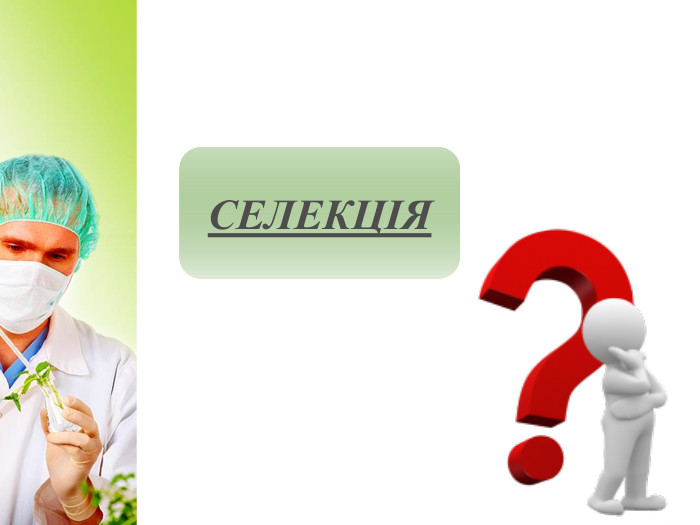 СЕЛЕКЦІЯ