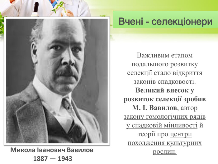Важливим етапом подальшого розвитку селекції стало відкриття законів спадковості. Великий внесок у розвиток селекції зробив Μ. І. Вавилов, автор закону гомологічних рядів у спадковій мінливості й теорії про центри походження культурних рослин. Микола Іванович Вавилов 1887 — 1943 Вчені - селекціонери