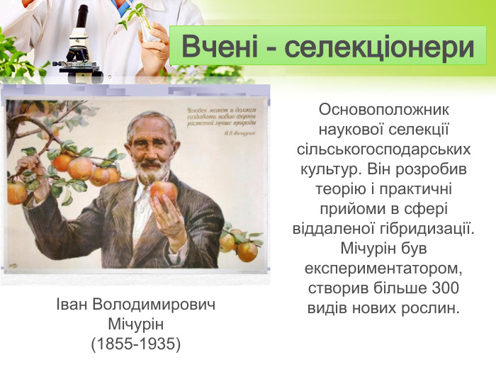 Вчені - селекціонери. Основоположник наукової селекції сільськогосподарських культур. Він розробив теорію і практичні прийоми в сфері віддаленої гібридизації. Мічурін був експериментатором, створив більше 300 видів нових рослин.Іван Володимирович Мічурін (1855-1935)
