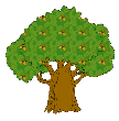 http://www.abc-color.com/image/coloring/trees/001/oak/oak-picture-color-2.png