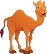 Cartoon camel Royalty Free Vector Image - VectorStock