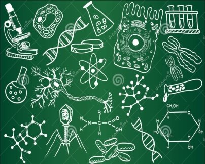 biology-sketches-school-board-24086814.jpg
