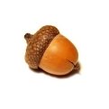 http://www.calorizator.ru/sites/default/files/imagecache/product_512/product/nuts-acorns.jpg