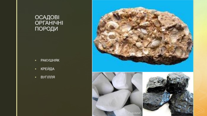 z. ОСАДОВІ ОРГАНІЧНІ ПОРОДИРАКУШНЯККРЕЙДАВУГІЛЛЯ