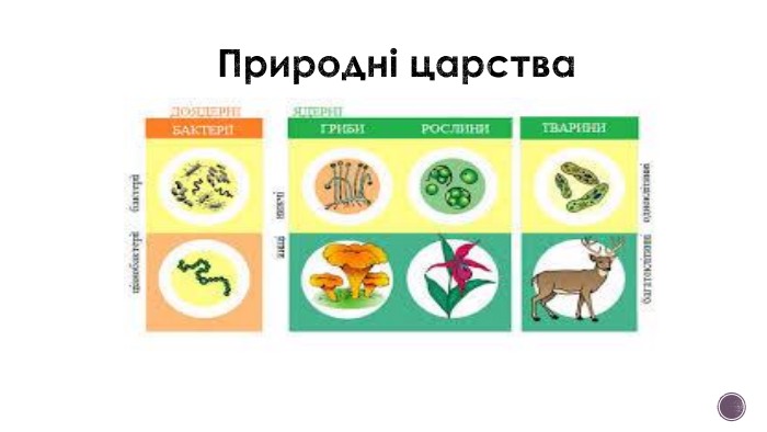 Природні царства