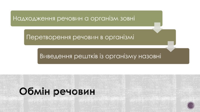 Обмін речовин