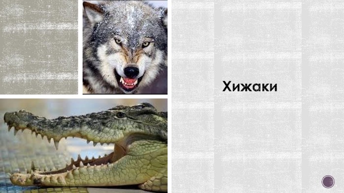 Хижаки 