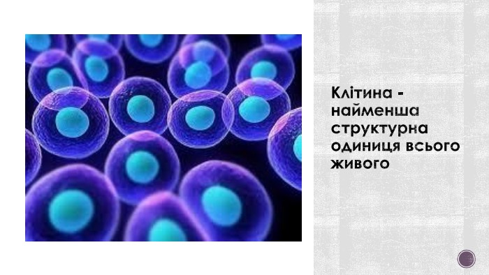Клітина - найменша структурна одиниця всього живого