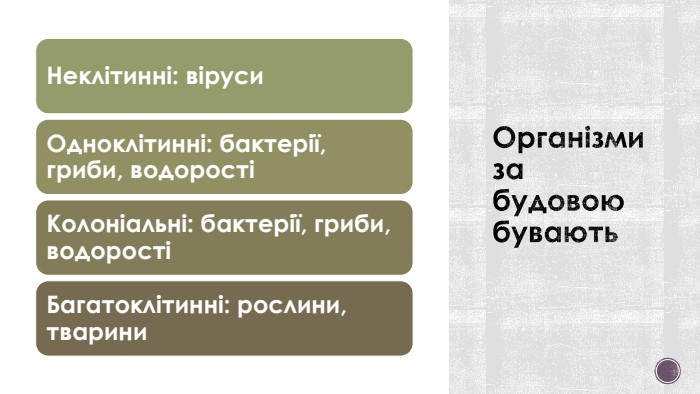 Організми за будовою бувають