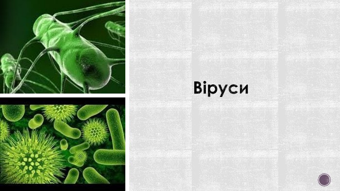 Віруси 