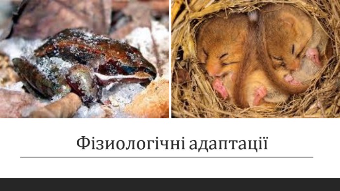Фізиологічні адаптації 