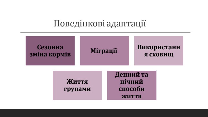 Поведінкові адаптації