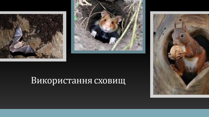 Використання сховищ