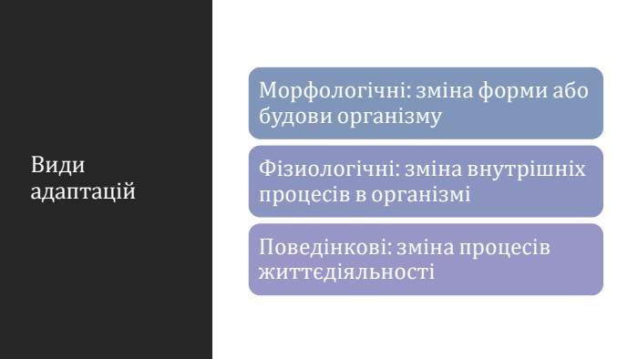 Види адаптацій