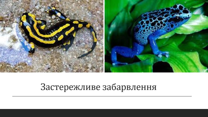Застережливе забарвлення