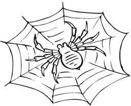 Результат пошуку зображень за запитом "малюнки павука"