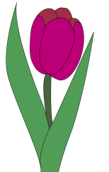 http://www.abc-color.com/image/coloring/flowers/002/tulip/tulip-picture-color.png
