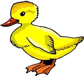 Картинки по запросу clipart duck
