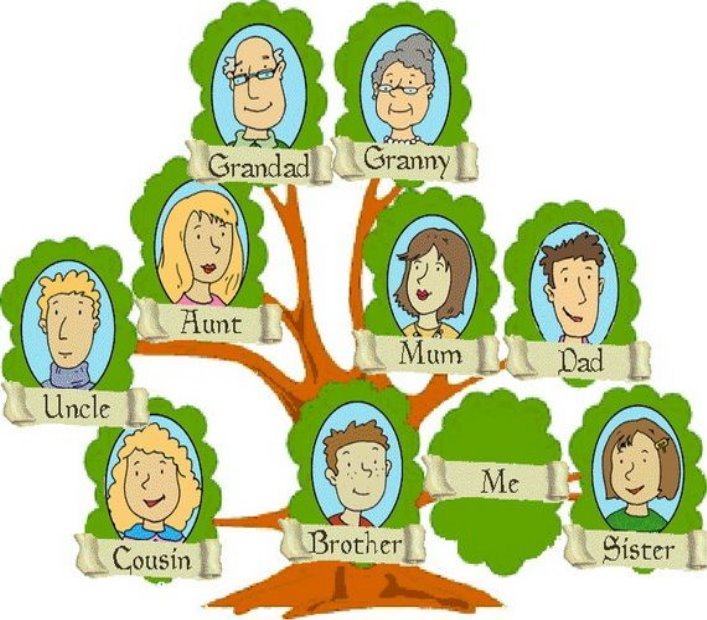 Картинки по запросу family tree