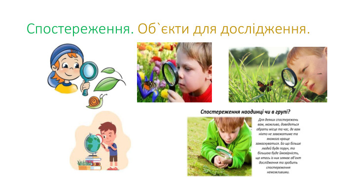 Спостереження. Об`єкти для дослідження.