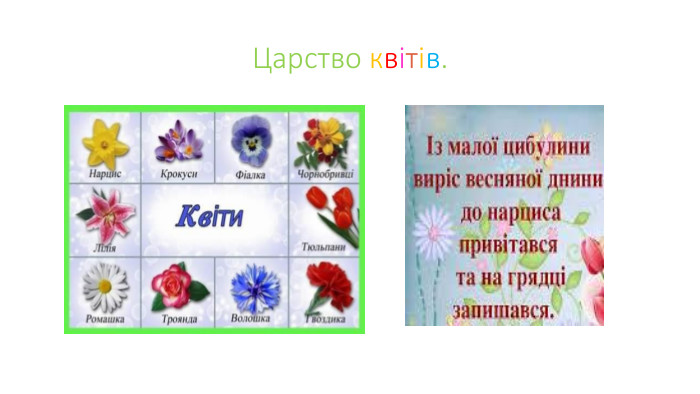 Царство квітів.