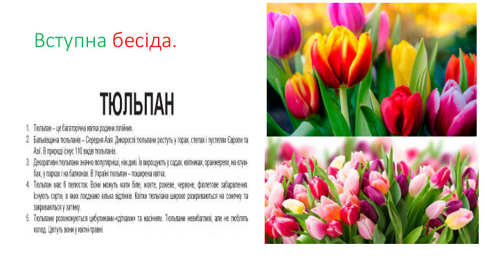 Вступна бесіда.