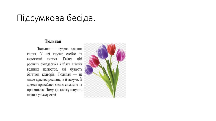 Підсумкова бесіда.