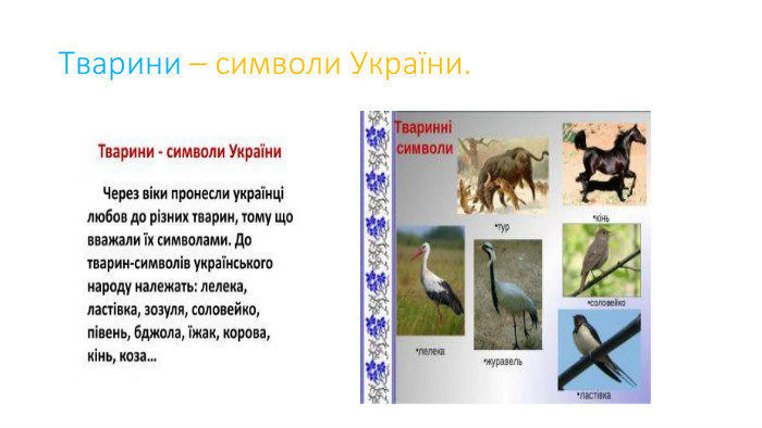 Тварини – символи України.