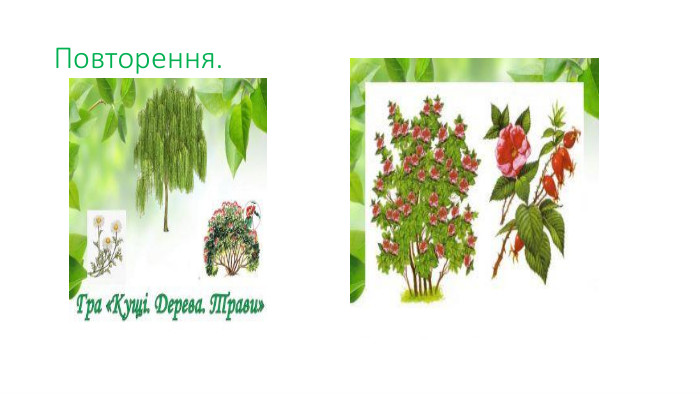 Повторення.