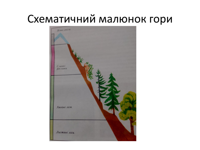 Схематичний малюнок гори