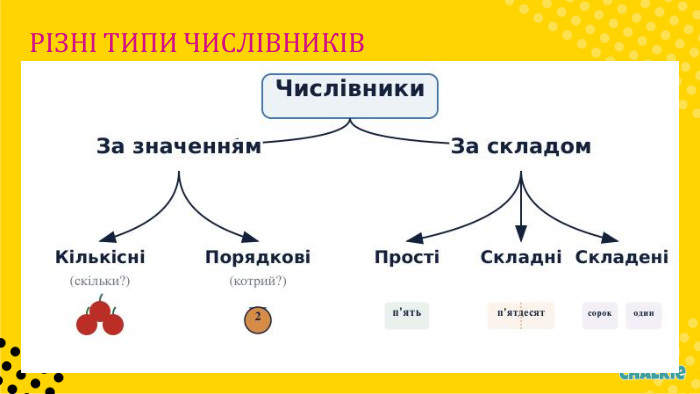 РІЗНІ ТИПИ ЧИСЛІВНИКІВ