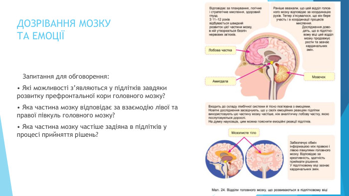 ДОЗРІВАННЯ МОЗКУ ТА ЕМОЦІЇ Запитання для обговорення:• Які можливості з’являються у підлітків завдяки розвитку префронтальної кори головного мозку?• Яка частина мозку відповідає за взаємодію лівої та правої півкуль головного мозку?• Яка частина мозку частіше задіяна в підлітків у процесі прийняття рішень?