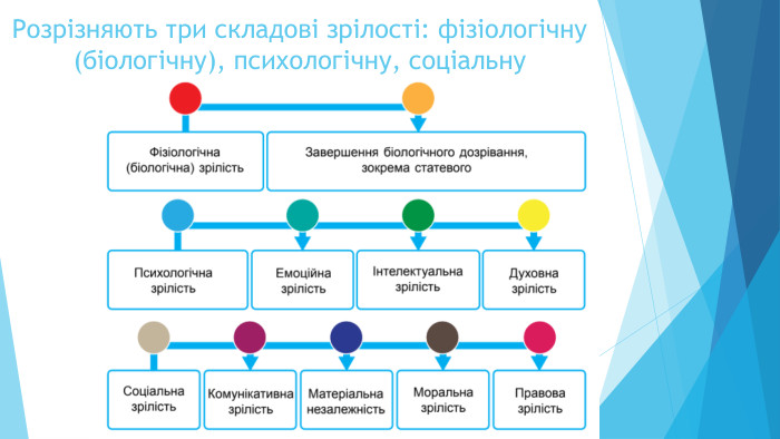 Розрізняють три складові зрілості: фізіологічну (біологічну), психологічну, соціальну
