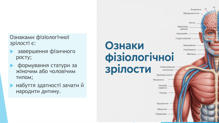 Ознаками фізіологічної зрілості є: завершення фізичного росту; формування статури за жіночим або чоловічим типом;набуття здатності зачати й народити дитину.