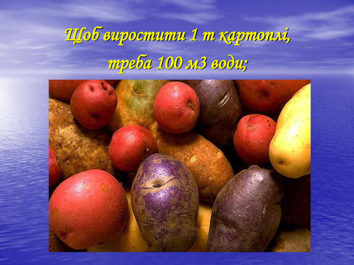 Щоб виростити 1 т картоплі,  треба 100 м3 води;   
