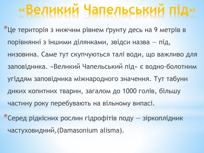 «Великий Чапельський під»Це територія з нижчим рівнем ґрунту десь на 9 метрів в порівнянні з іншими ділянками, звідси назва — під, низовина. Саме тут скупчуються талі води, що важливо для заповідника. «Великий Чапельський під» є водно-болотним угіддям заповідника міжнародного значення. Тут табуни диких копитних тварин, загалом до 1000 голів, більшу частину року перебувають на вільному випасі. Серед рідкісних рослин гідрофітів поду — зіркоплідник частуховидний,(Damasonium alisma).