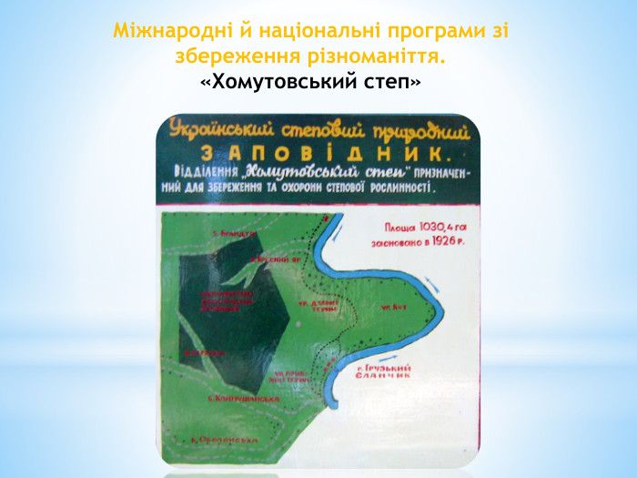 Міжнародні й національні програми зі збереження різноманіття.«Хомутовський степ»
