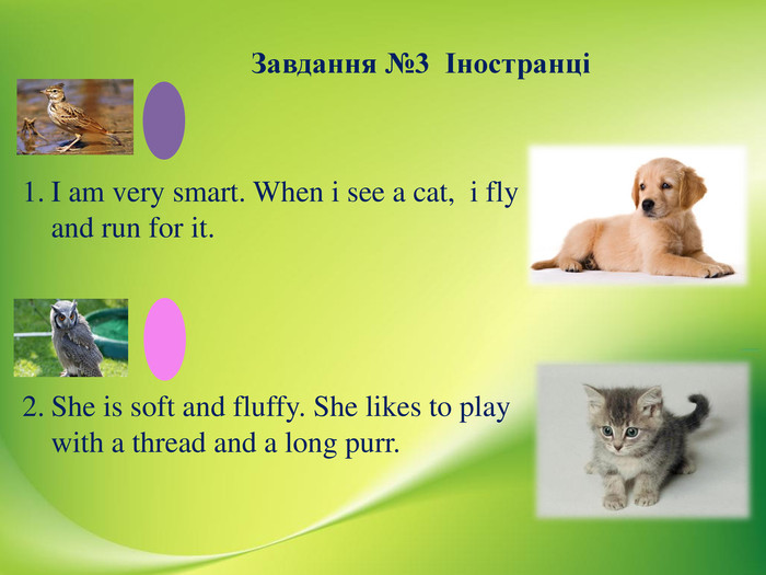  Завдання №3 ІностранціI am very smart. When i see a cat, i fly and run for it. She is soft and fluffy. She likes to play with a thread and a long purr. 
